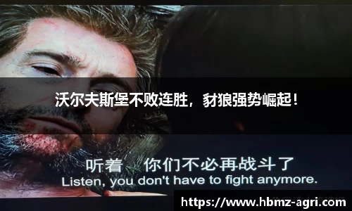 沃尔夫斯堡不败连胜，豺狼强势崛起！