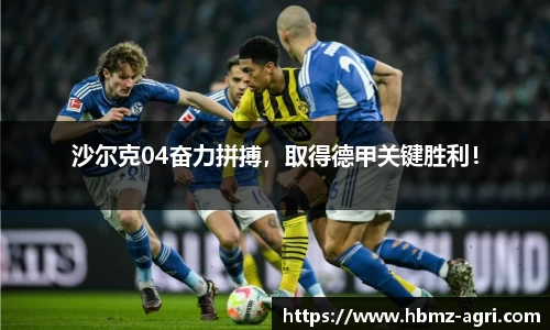沙尔克04奋力拼搏，取得德甲关键胜利！