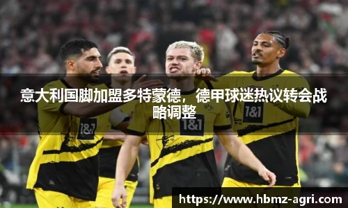 意大利国脚加盟多特蒙德，德甲球迷热议转会战略调整