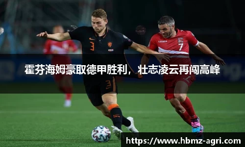 霍芬海姆豪取德甲胜利，壮志凌云再闯高峰