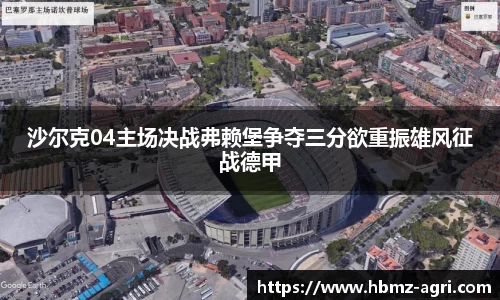 沙尔克04主场决战弗赖堡争夺三分欲重振雄风征战德甲