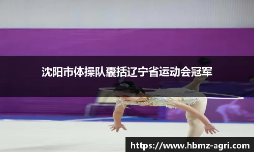 沈阳市体操队囊括辽宁省运动会冠军