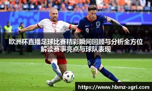欧洲杯直播足球比赛精彩瞬间回顾与分析全方位解读赛事亮点与球队表现