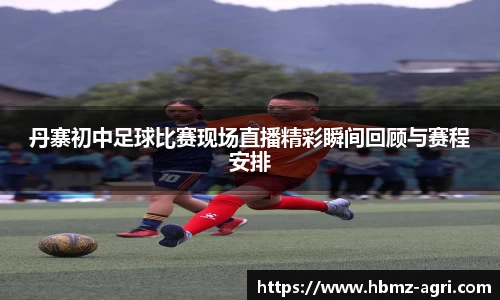 丹寨初中足球比赛现场直播精彩瞬间回顾与赛程安排