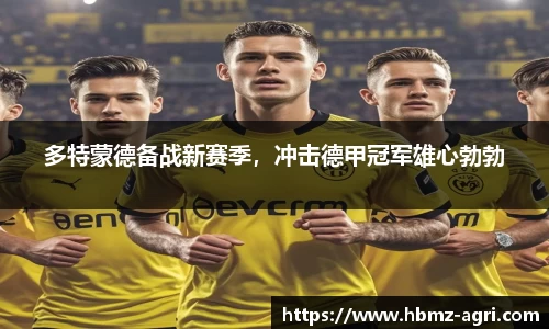 多特蒙德备战新赛季，冲击德甲冠军雄心勃勃