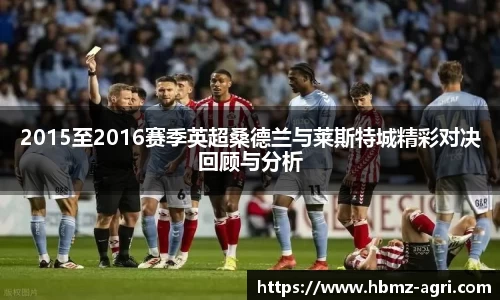 2015至2016赛季英超桑德兰与莱斯特城精彩对决回顾与分析