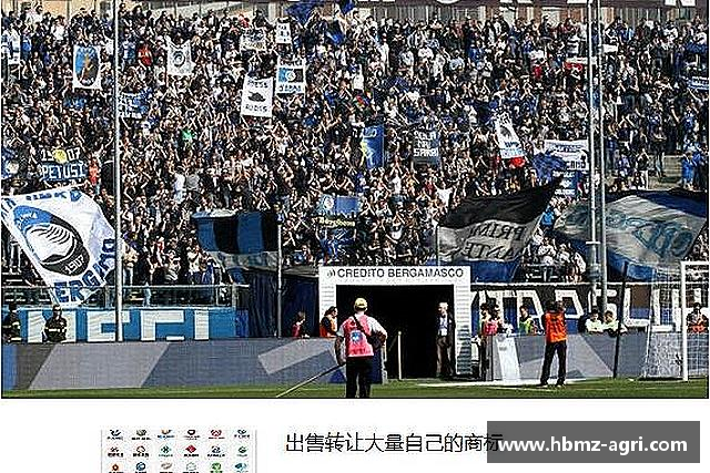 了解极悦娱乐